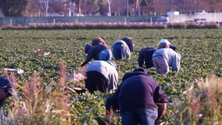 μετανάστες