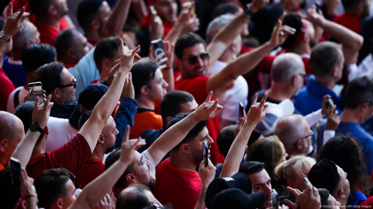 Γκρίζοι Λύκοι