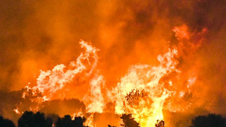 fotia firefotia fire