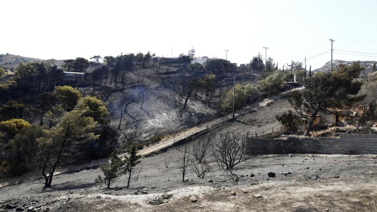 ανατολικη αττικη φωτια