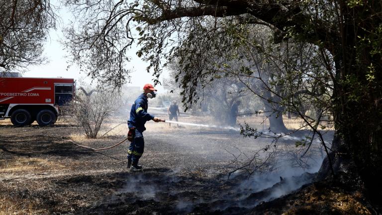 πυροπληκτοι