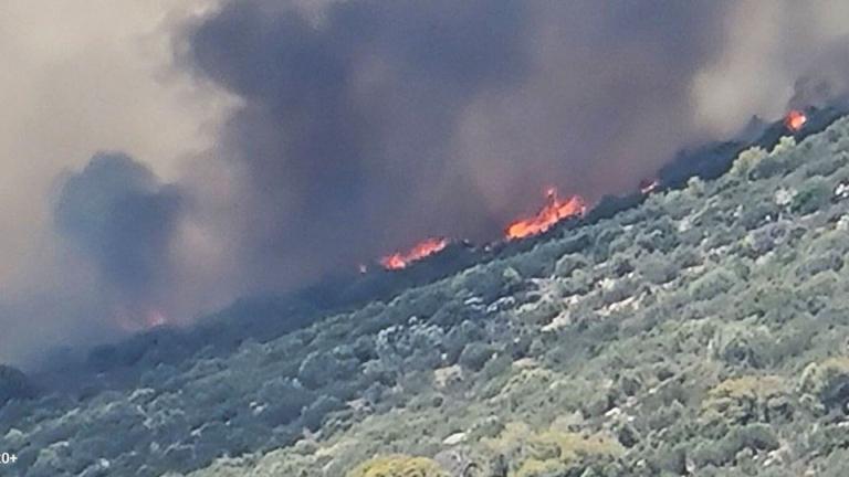 φωτια κερατεα