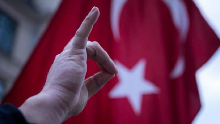 γρκιζοι λυκοι