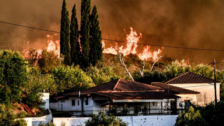 Πυρκαγιά στην Ηλεία