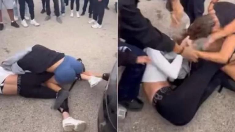 αγριο ξυλο στην κω