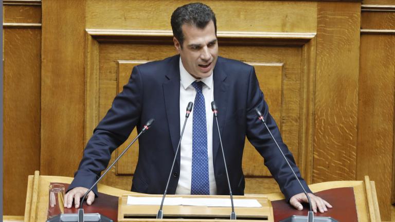 πλευρης