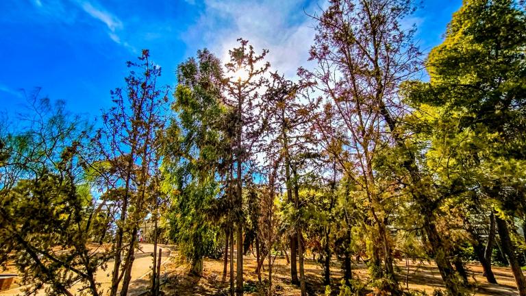 φθινοπωρινος καιρος