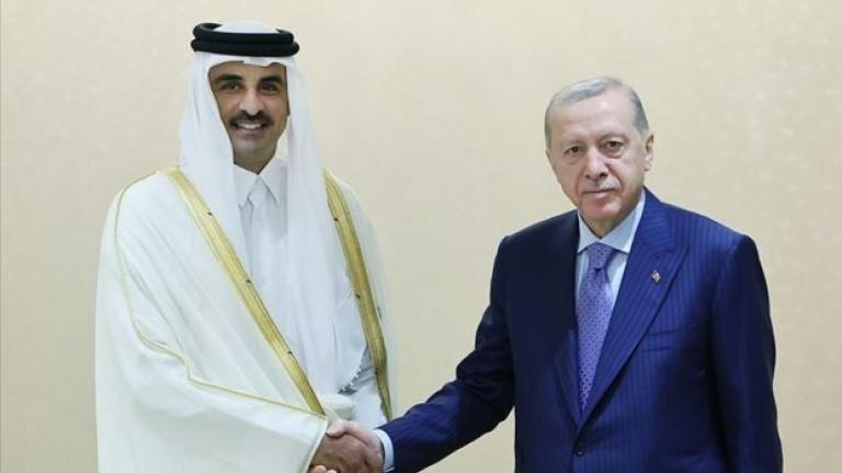 ερντογαν αλ θανι