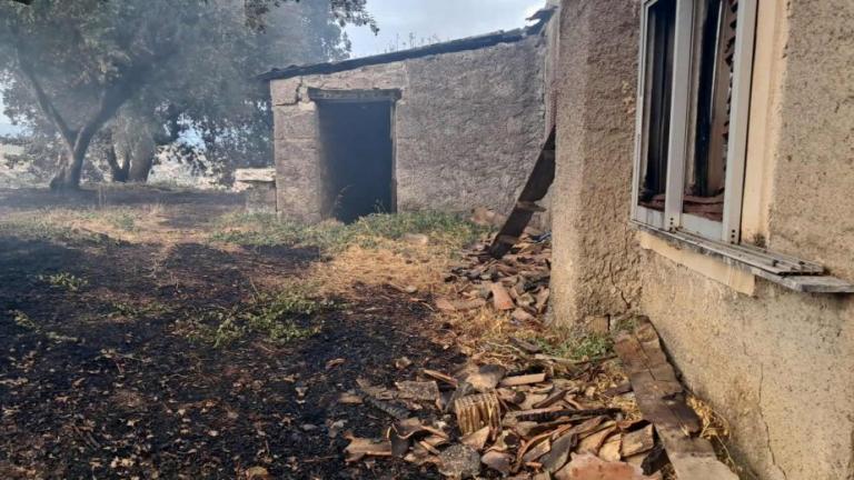 φωτια στην αχαια