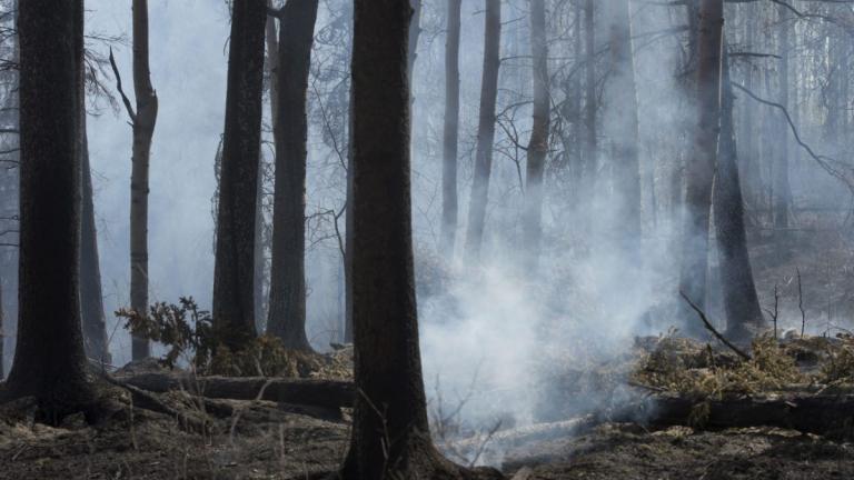 ακραιος κινδυνος πυρκαγιας