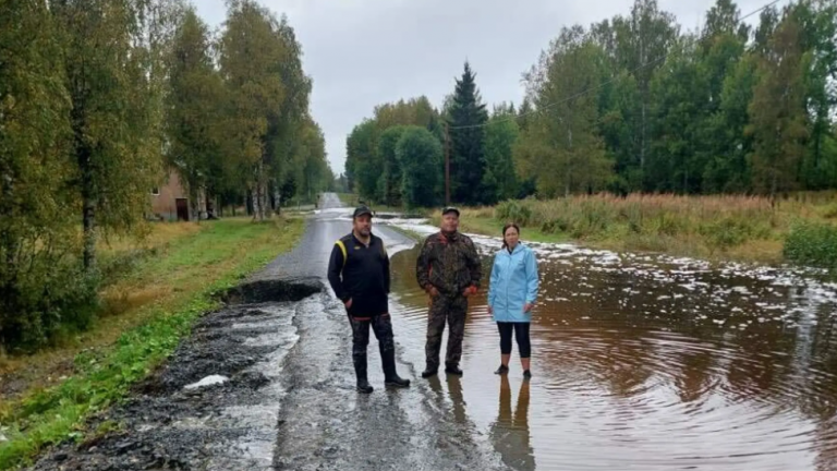 σουηδια πλυμμηρες