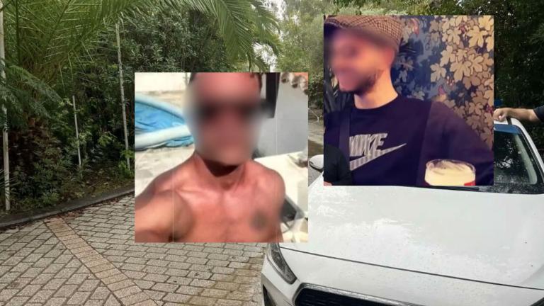 φοινικουντα