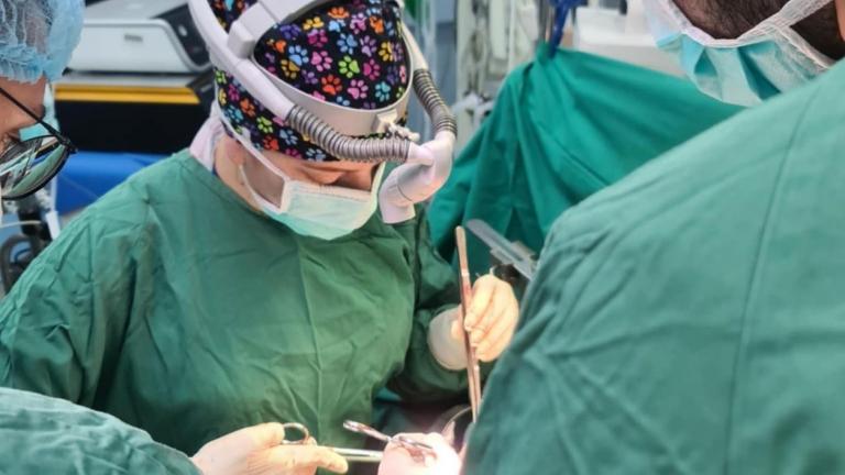 μεταμοσχευση