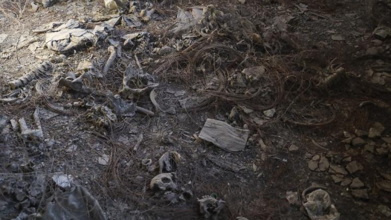 ομαδικος ταφος συρια