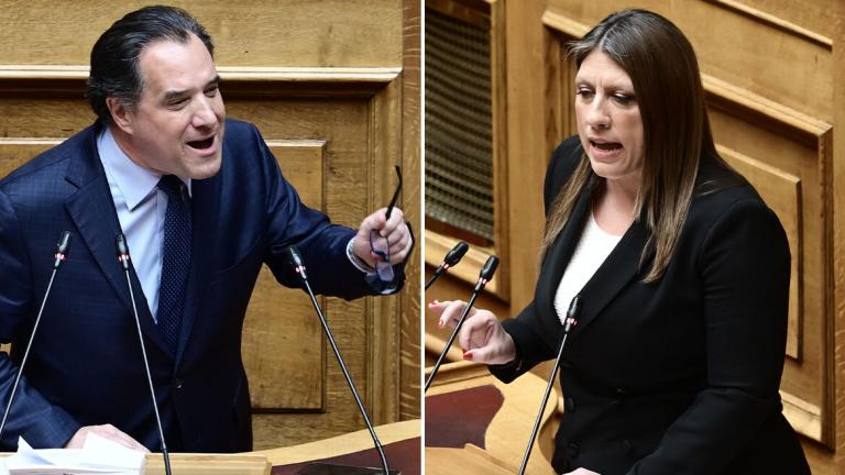 Αδωνις Γεωργιάδης και ζωη