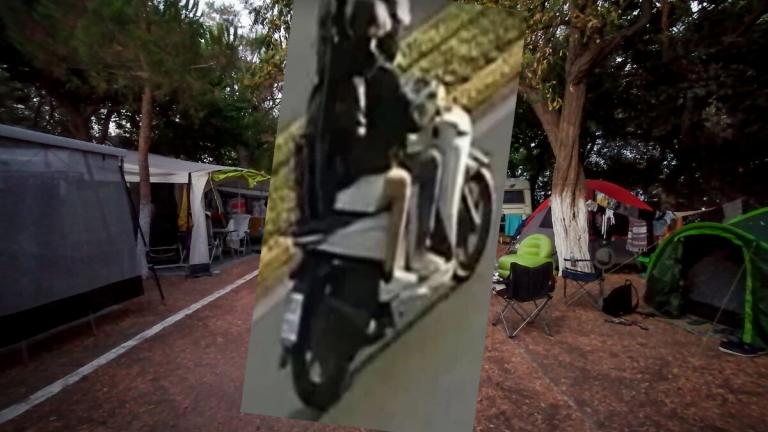 φοινικουντα