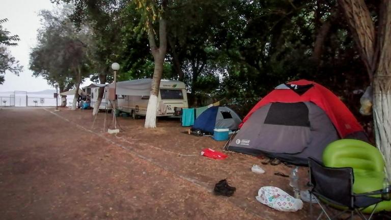 φοινικουντα