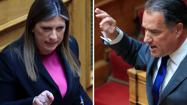 Αδωνις Γεωργιάδης και ζωη