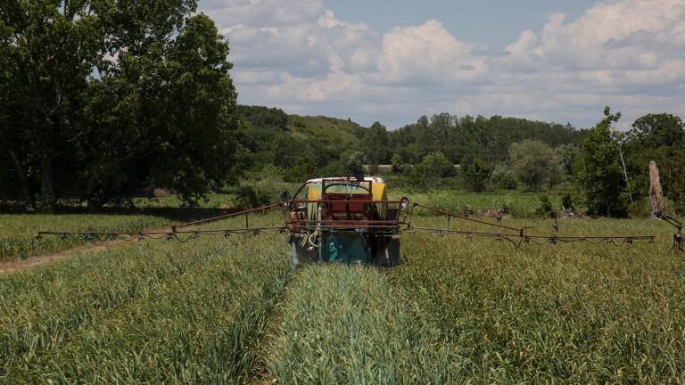 πρωτεγνης τομεας