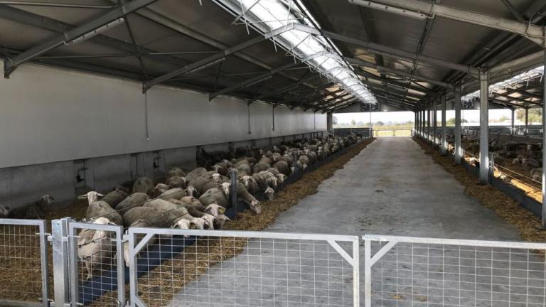  κτηνοτροφικές μονάδες