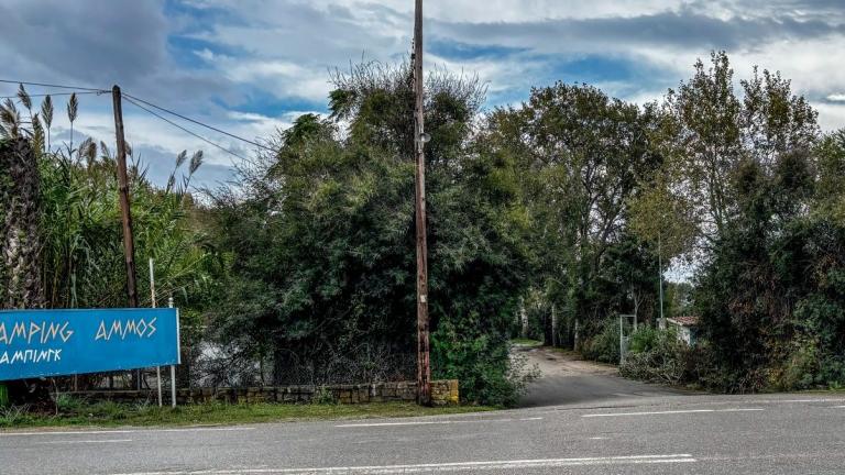 φοινικουντα