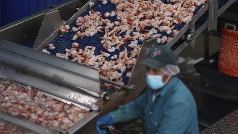 Η Κίνα αναστέλλει τις εισαγωγές θαλασσινών από την Ιαπωνία