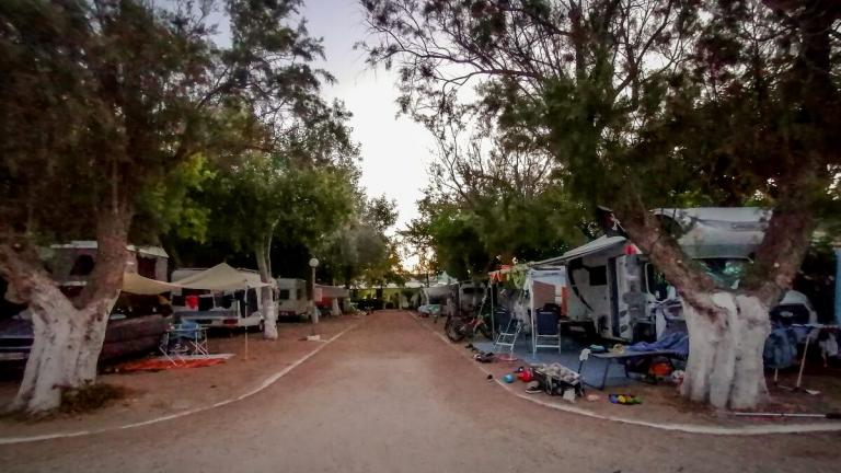 φοινικουντα