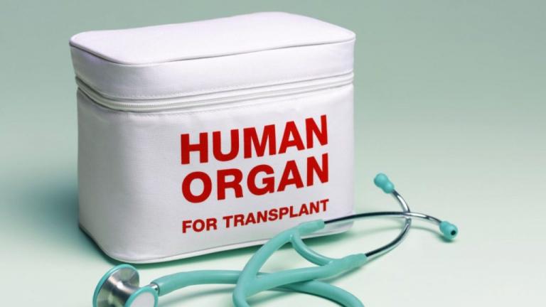 δωρεα οργανων