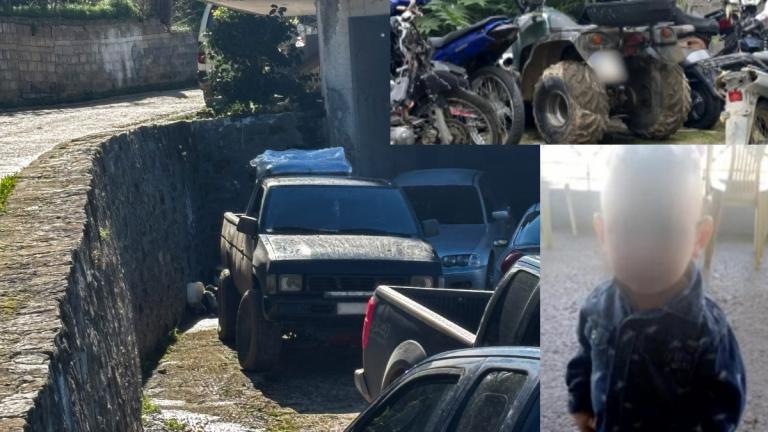 γουρουνα 3χρονος