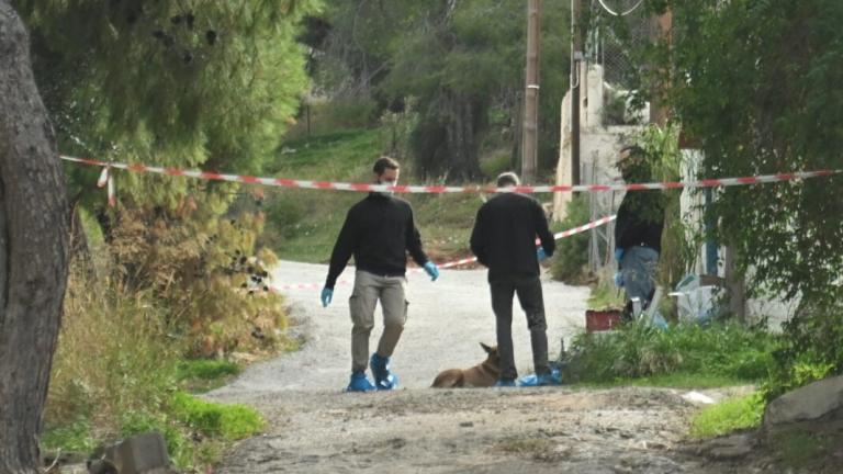 Δολοφονία στην Σαλαμίνα: Η 75χρονη ξεψύχησε με το «πάτερ ημών» - Τι γνωρίζουμε για την 46χρονη - Τι αναζητούν οι Αρχές