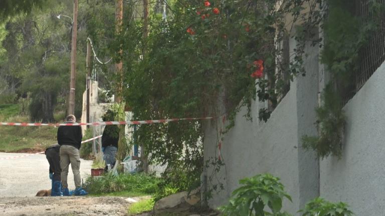 σαλαμινα δολοφονια