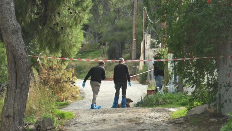 σαλαμινα δολοφονια