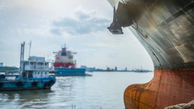 σκιωδης στολος