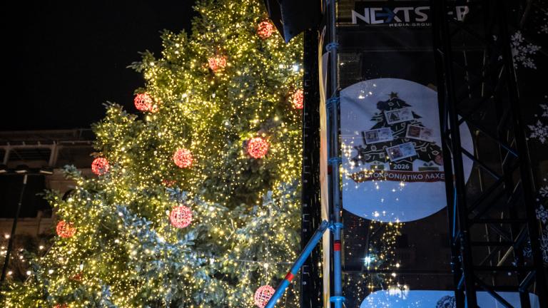 δεντρο θεσσαλονικη