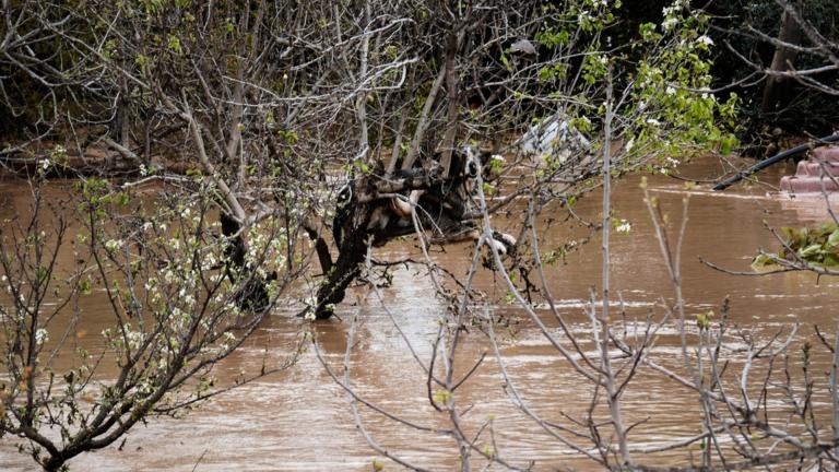 πλημμρες μαλαγα