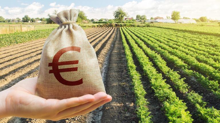 επιδοτησεις