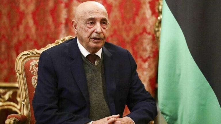 ακιλα σαλεχ