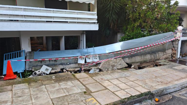 μαντα αλιμος