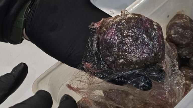 Περιφέρεια Αττικής: Κατασχέθηκαν 12 τόνοι ακατάλληλων προϊόντων - Χαλασμένα μπιφτέκια, βρόμικους πάγκους και άθλιες συνθήκες υγιεινής