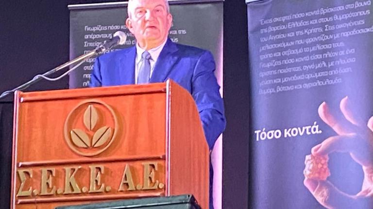 ΚΩΣΤΑΣ ΚΑΡΑΜΑΝΛΗΣ 