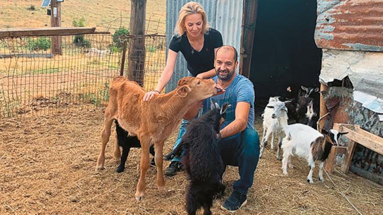 Μαγειρίας-Σεμερτζίδου