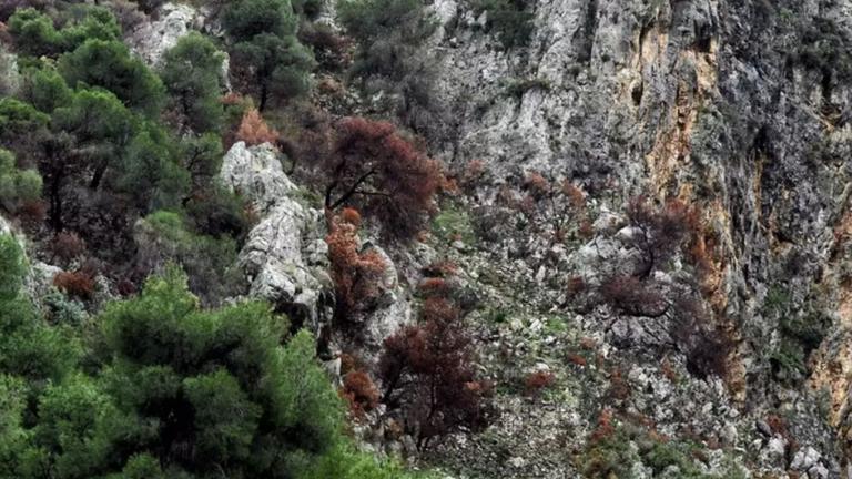 σικινος γρκεμος