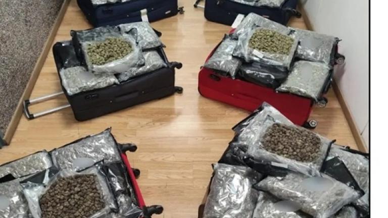 βενιζελος ναρκωτικα