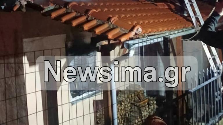 ΡΙΖΏΜΑΤΑ ΗΜΑΘΙΑΣ ΦΩΤΙΑ ΣΕ ΣΠΙτι