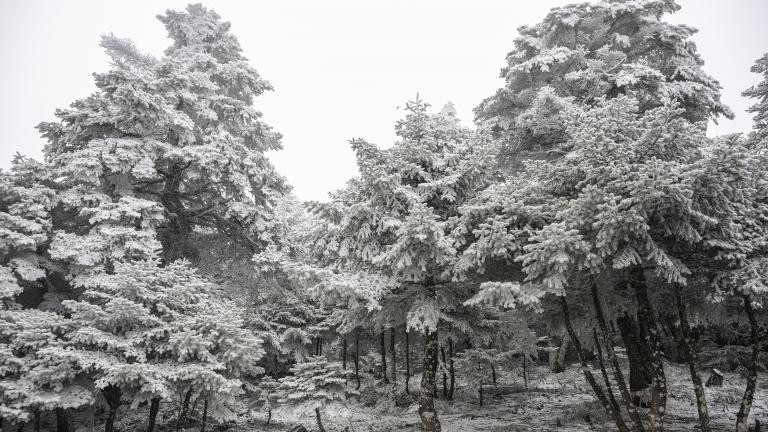 χιονισμενος καιρος