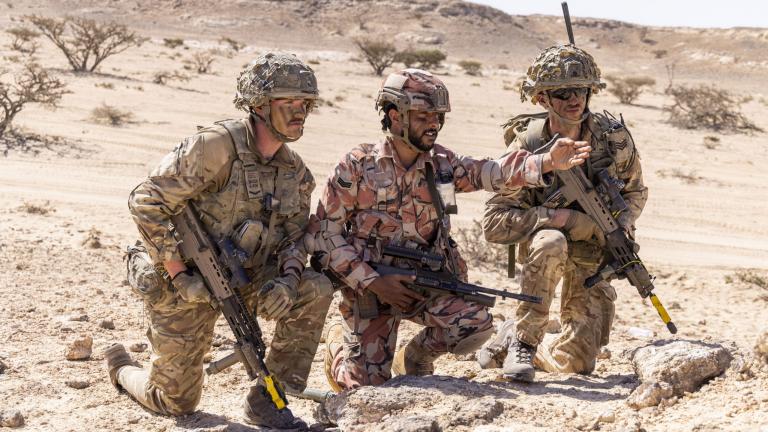 βρετανικος στρατος