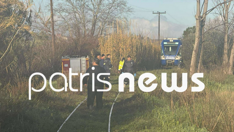 Πεύκο έπεσε σε τρένο στο δρομολόγιο Πύργος – Κατάκολο, τραυματίστηκε ο μηχανοδηγός