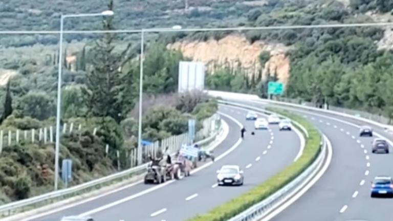 νεμεα αγροτες