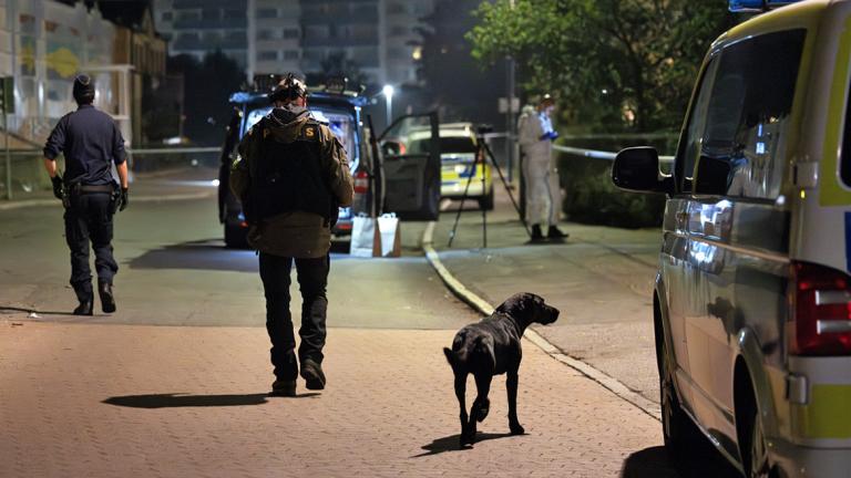 Σουηδία συμμοριες