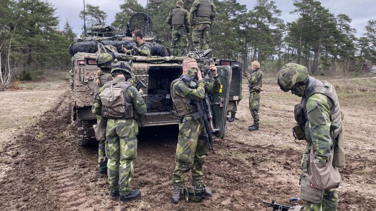 σουηδικος στρατος